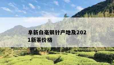 阜新白毫银针产地及2021新茶价格