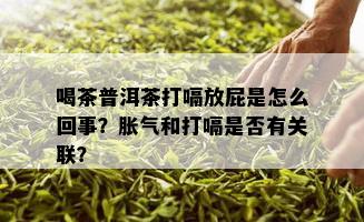 喝茶普洱茶打嗝放屁是怎么回事？胀气和打嗝是否有关联？