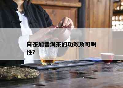 白茶加普洱茶的功效及可喝性？