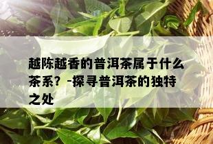 越陈越香的普洱茶属于什么茶系？-探寻普洱茶的独特之处