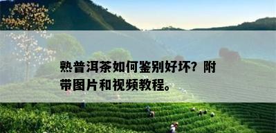 熟普洱茶如何鉴别好坏？附带图片和视频教程。