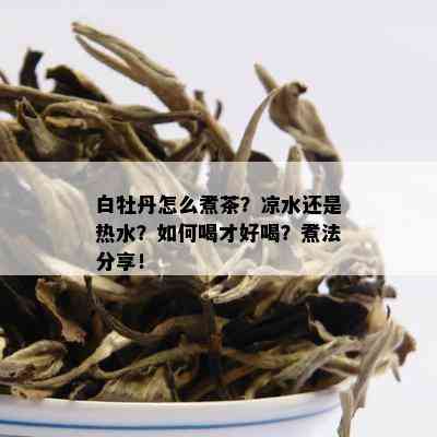 白牡丹怎么煮茶？凉水还是热水？如何喝才好喝？煮法分享！