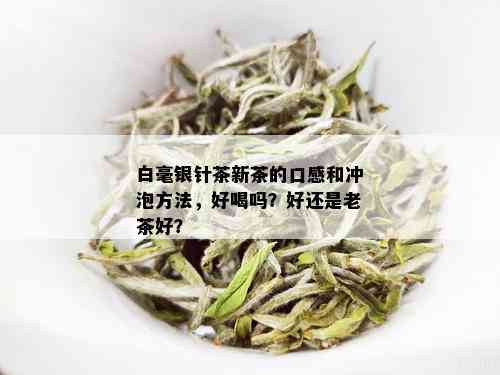 白毫银针茶新茶的口感和冲泡方法，好喝吗？好还是老茶好？