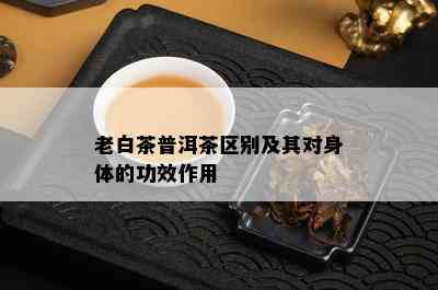 老白茶普洱茶区别及其对身体的功效作用