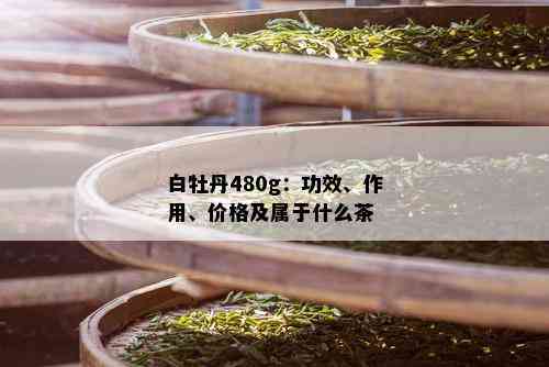 白牡丹480g：功效、作用、价格及属于什么茶