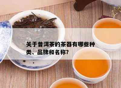 关于普洱茶的茶器有哪些种类、品牌和名称？