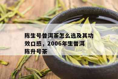 陈生号普洱茶怎么选及其功效口感，2006年生普洱陈升号茶