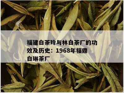 福建白茶玲与林白茶厂的功效及历史：1968年福鼎白琳茶厂