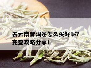 去云南普洱茶怎么买好呢？完整攻略分享！