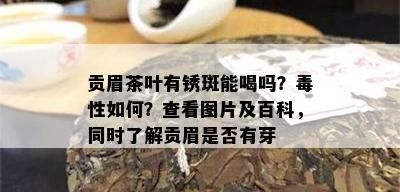 贡眉茶叶有锈斑能喝吗？性如何？查看图片及百科，同时了解贡眉是否有芽