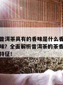 普洱茶具有的香味是什么香味？全面解析普洱茶的茶香特征！