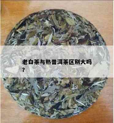 老白茶与熟普洱茶区别大吗？