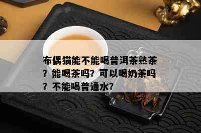 布偶猫能不能喝普洱茶熟茶？能喝茶吗？可以喝奶茶吗？不能喝普通水？