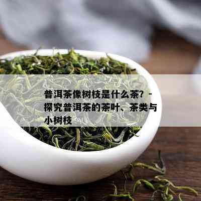 普洱茶像树枝是什么茶？-探究普洱茶的茶叶、茶类与小树枝