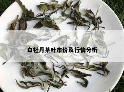 白牡丹茶叶市价及行情分析