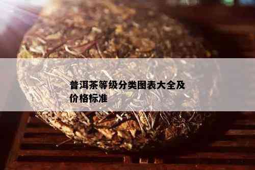 普洱茶等级分类图表大全及价格标准