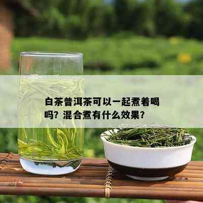 白茶普洱茶可以一起煮着喝吗？混合煮有什么效果？