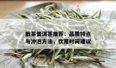 散茶普洱茶推荐：品质特点与冲泡方法，饮用时间建议