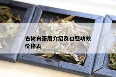 古树白茶眉介绍及口感功效价格表