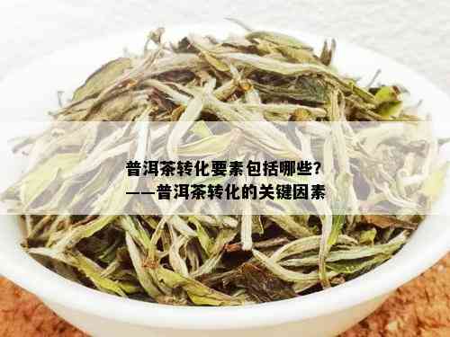 普洱茶转化要素包括哪些？——普洱茶转化的关键因素