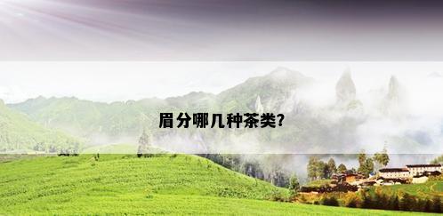 眉分哪几种茶类？