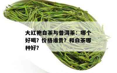 大红袍白茶与普洱茶：哪个好喝？价格谁贵？和白茶哪种好？