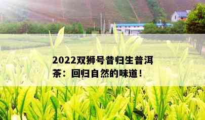 2022双狮号昔归生普洱茶：回归自然的味道！