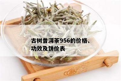 古树普洱茶956的价格、功效及饼价表