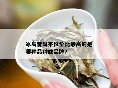 冰岛普洱茶性价比更高的是哪种品种或品牌？