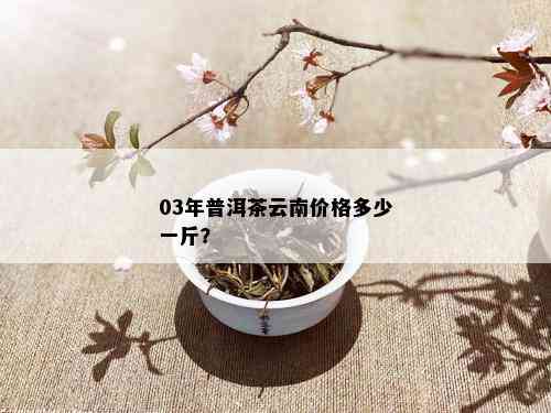 03年普洱茶云南价格多少一斤？