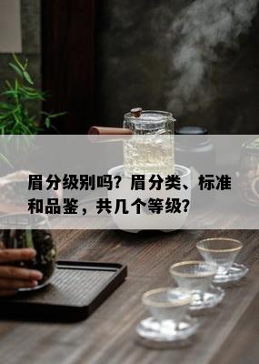 眉分级别吗？眉分类、标准和品鉴，共几个等级？