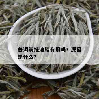 普洱茶挂油脂有用吗？原因是什么？