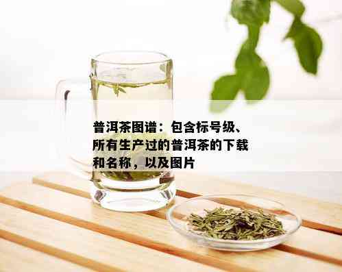 普洱茶图谱：包含标号级、所有生产过的普洱茶的下载和名称，以及图片