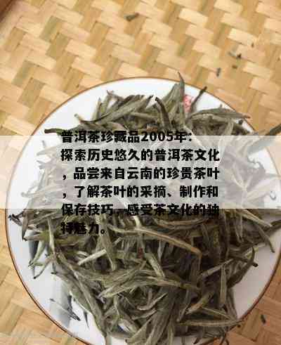 普洱茶珍藏品2005年：探索历史悠久的普洱茶文化，品尝来自云南的珍贵茶叶，了解茶叶的采摘、制作和保存技巧，感受茶文化的独特魅力。