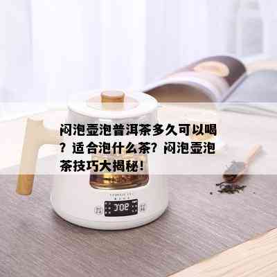 闷泡壶泡普洱茶多久可以喝？适合泡什么茶？闷泡壶泡茶技巧大揭秘！