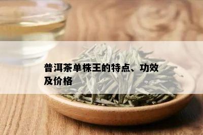 普洱茶单株王的特点、功效及价格