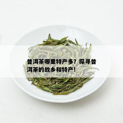 普洱茶哪里特产多？探寻普洱茶的故乡和特产!