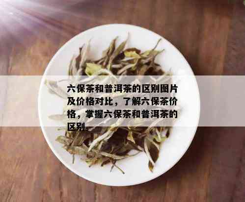 六保茶和普洱茶的区别图片及价格对比，了解六保茶价格，掌握六保茶和普洱茶的区别。