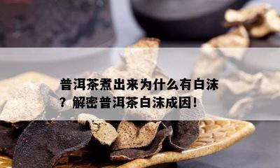 普洱茶煮出来为什么有白沫？解密普洱茶白沫成因！