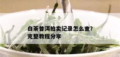 白茶普洱拍卖记录怎么查？完整教程分享