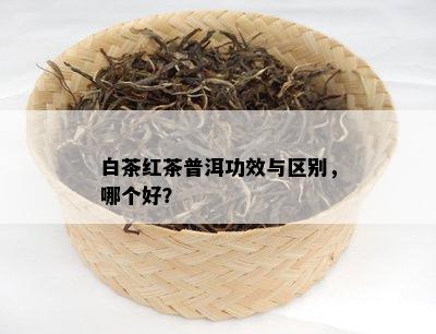 白茶红茶普洱功效与区别，哪个好？