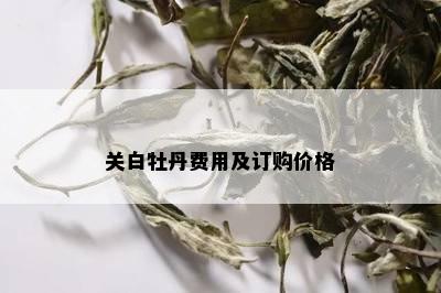 关白牡丹费用及订购价格