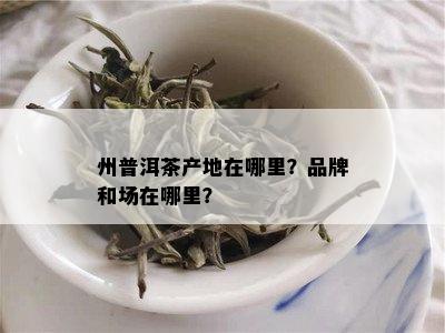 州普洱茶产地在哪里？品牌和场在哪里？