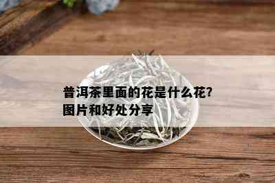 普洱茶里面的花是什么花？图片和好处分享