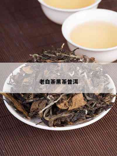 老白茶黑茶普洱