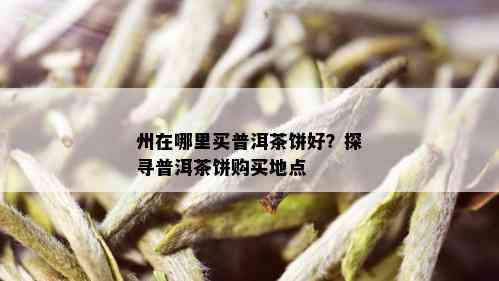 州在哪里买普洱茶饼好？探寻普洱茶饼购买地点