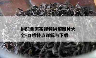 拼配普洱茶视频讲解图片大全-口感特点详解与下载