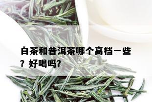 白茶和普洱茶哪个高档一些？好喝吗？