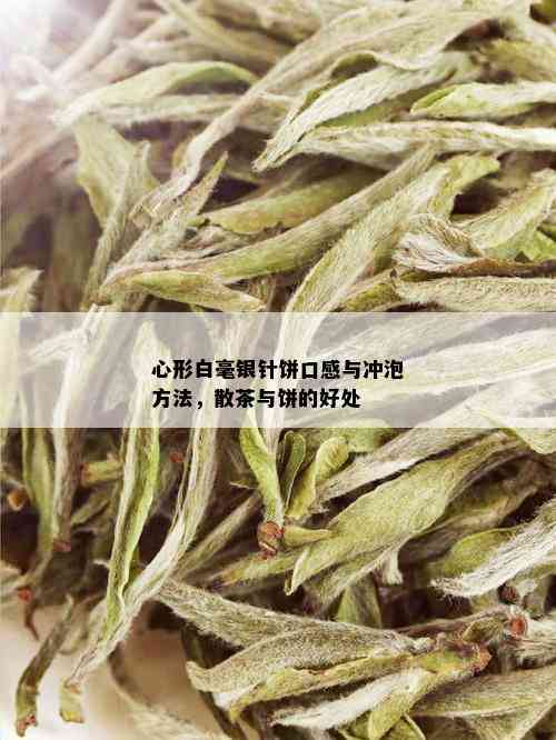 心形白毫银针饼口感与冲泡方法，散茶与饼的好处