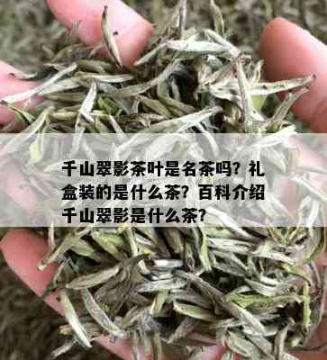 千山翠影茶叶是名茶吗？礼盒装的是什么茶？百科介绍千山翠影是什么茶？